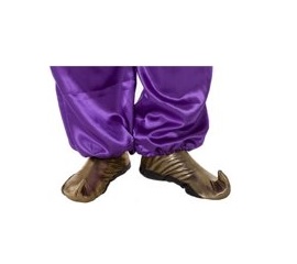 Aladdin schoenen