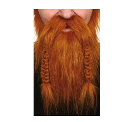 baard viking