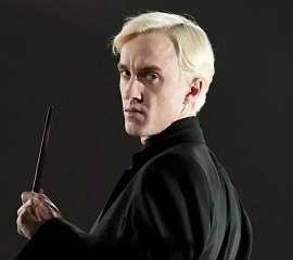 Draco Malfidus