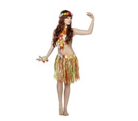 Hawaii feestje