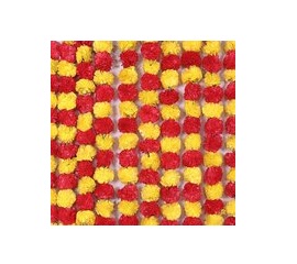 marigold bloemen