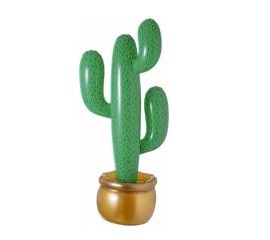 opblaasbare cactus
