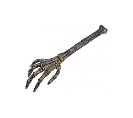 skelet hand
