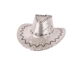 zilveren cowboy hoed